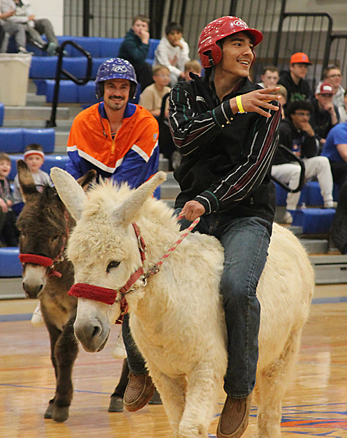 donkey